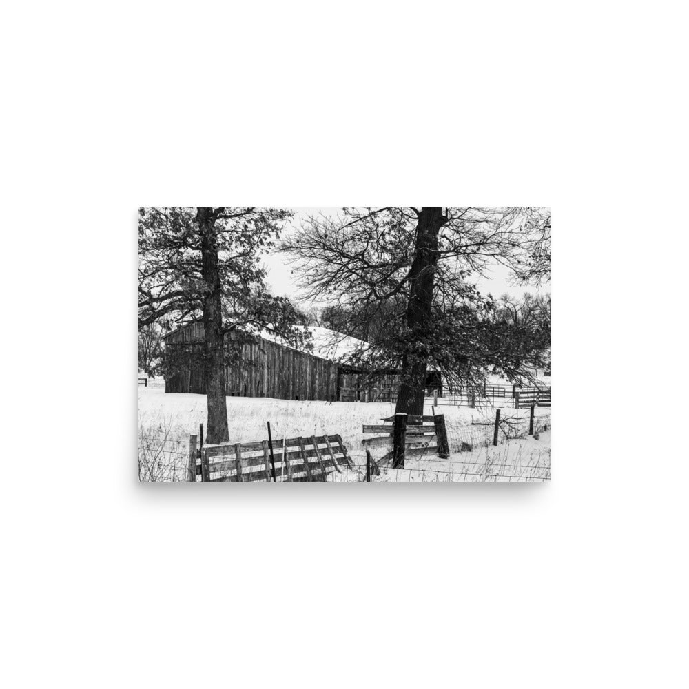 Winter Barn | Print