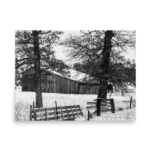 Winter Barn | Print