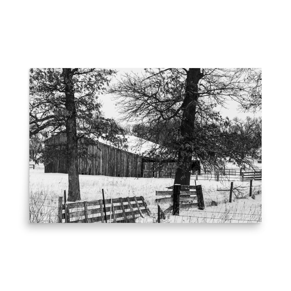 Winter Barn | Print